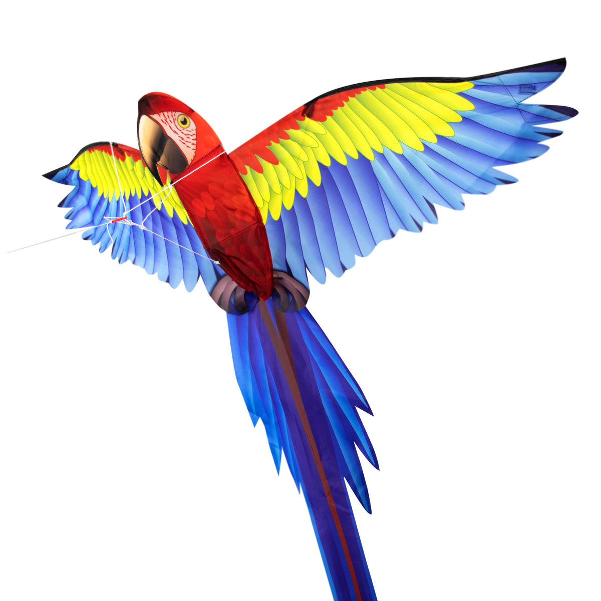 Kites Ready 2 Fly Parrot 3D Pop Up Kite
