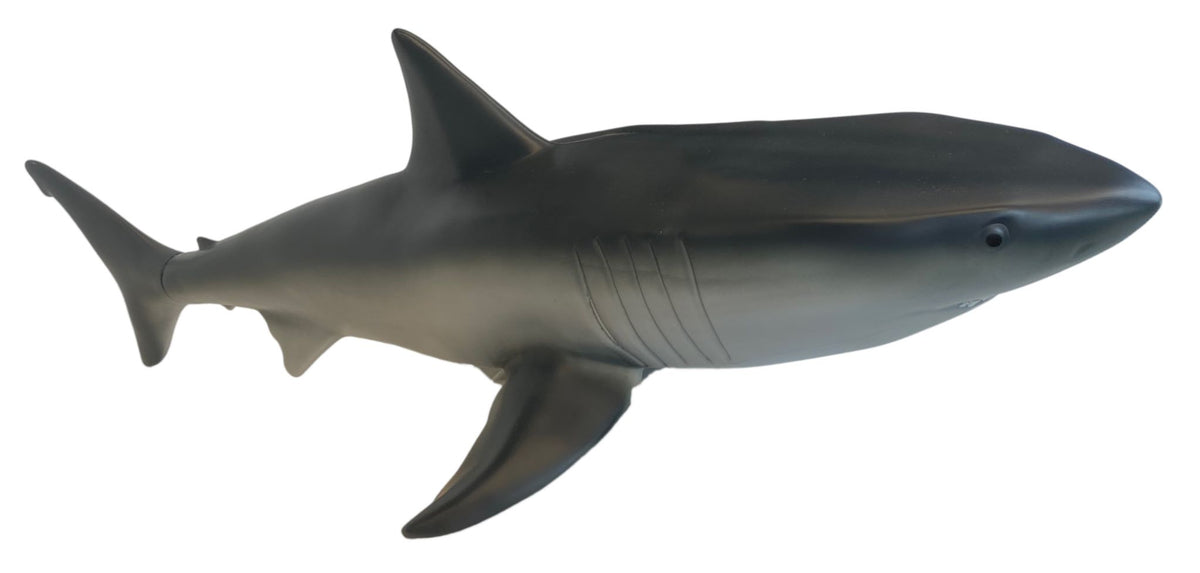 Sea Swimmers - Sparky The Sharky Pool Toy