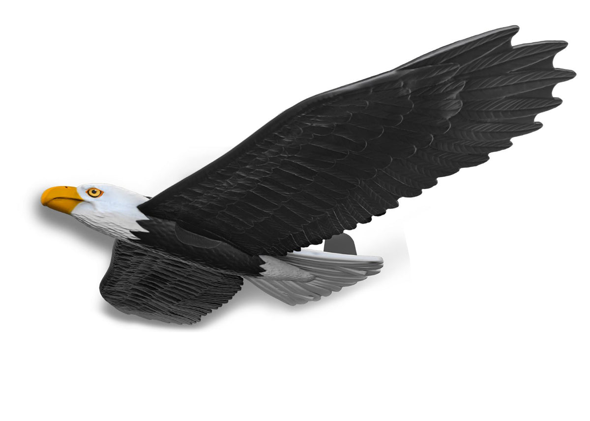 Real Flyers Eagle Gliding Toy