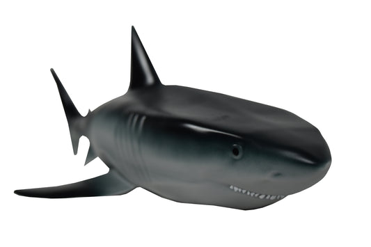 Sea Swimmers - Sparky The Sharky Pool Toy